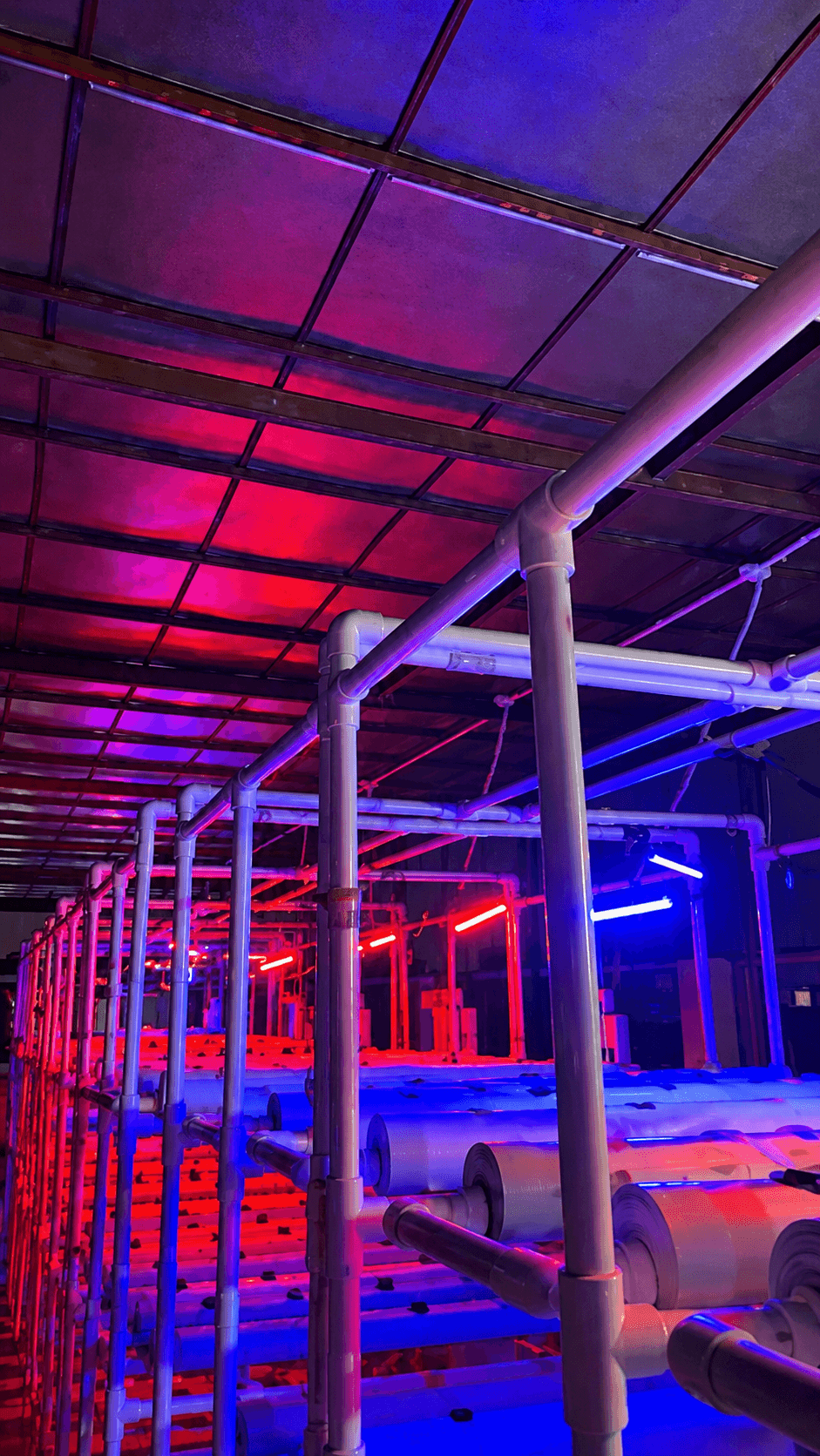 Bandva Agro Facility