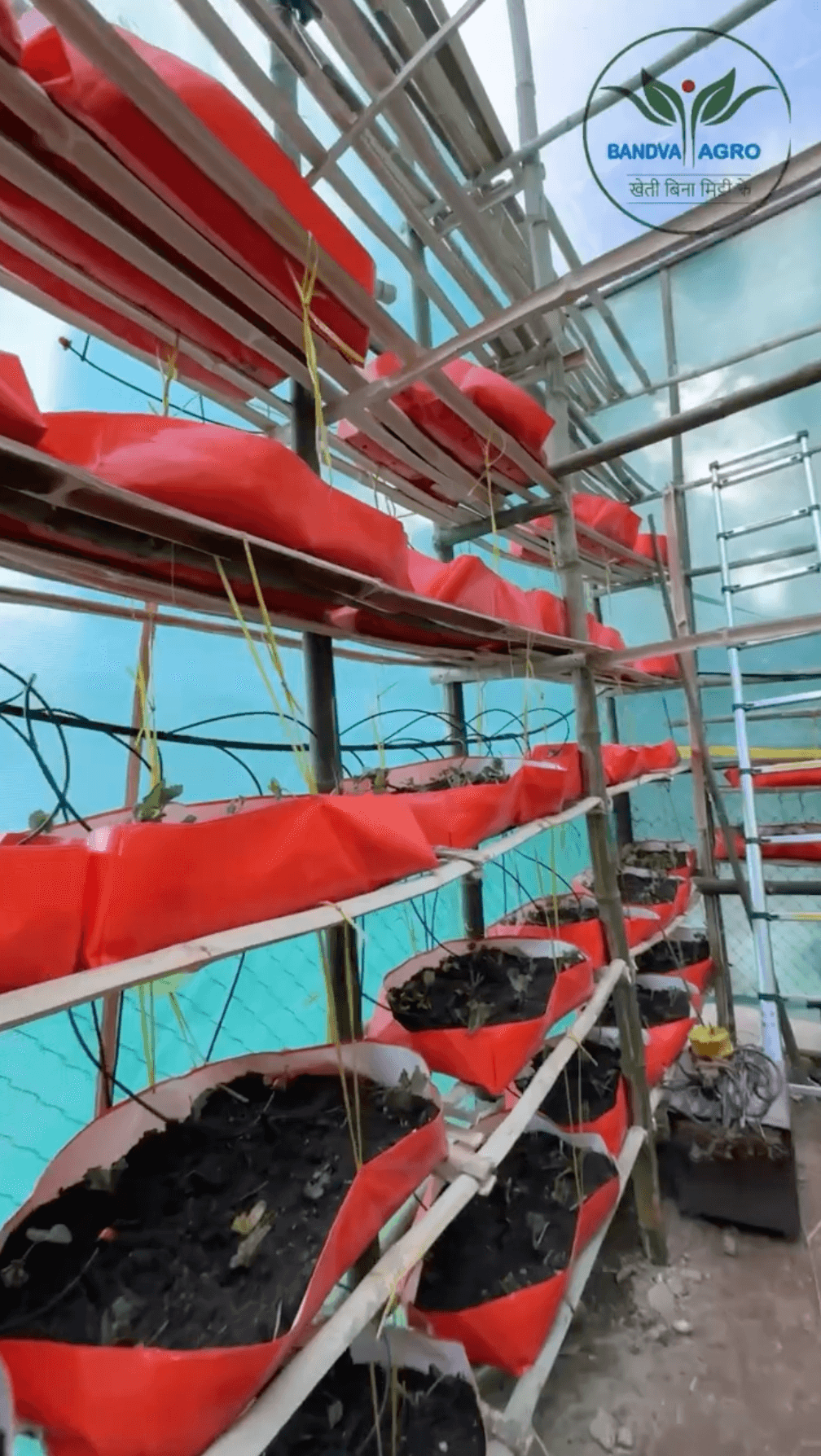 Plant Facility 3